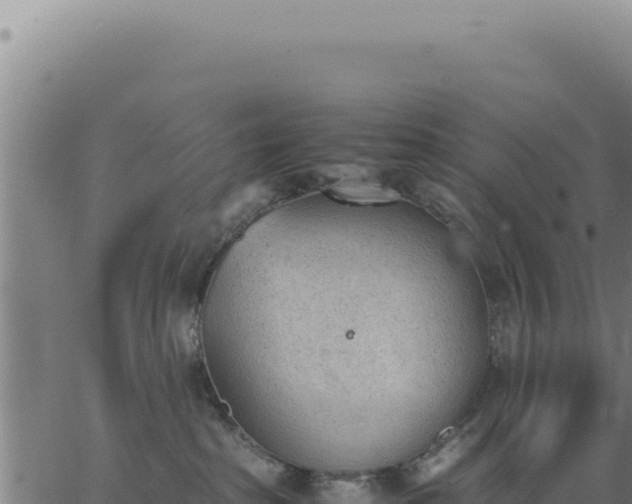 X0000062870285200601201802