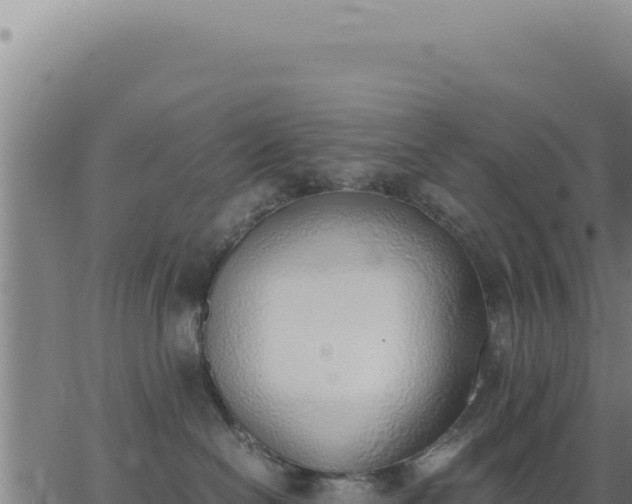 X0000062870286200601201802