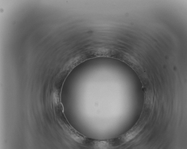 X0000062870287200601201802