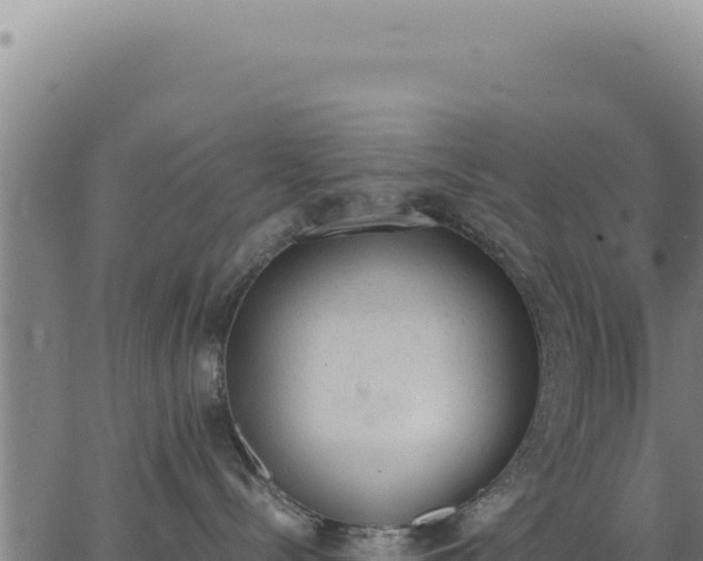 X0000062870288200601201802