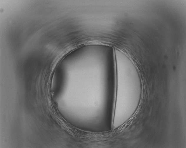 X0000062870289200601201801