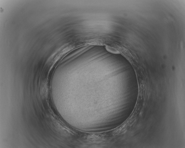 X0000062870290200601201801