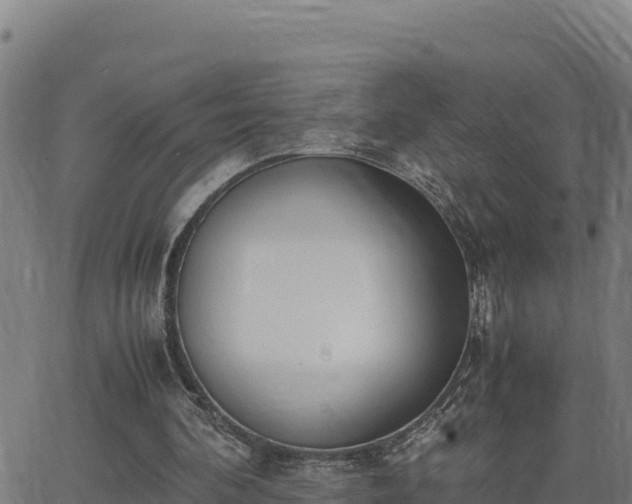 X0000062870292200601201801