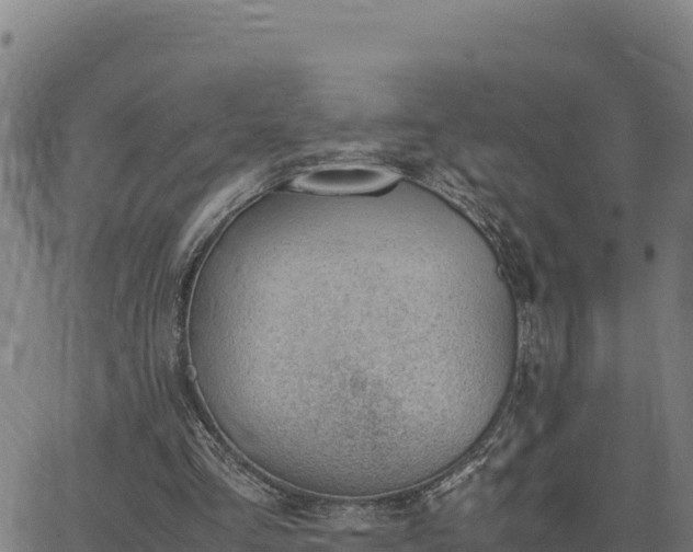 X0000062870293200601201801