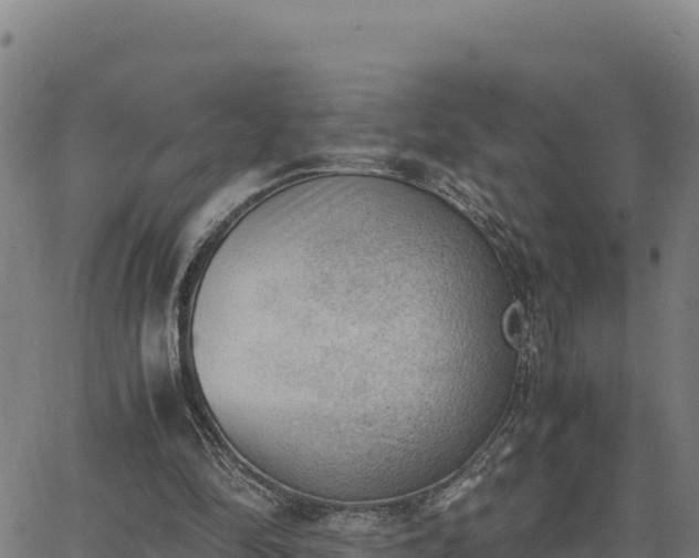 X0000062870294200601201801