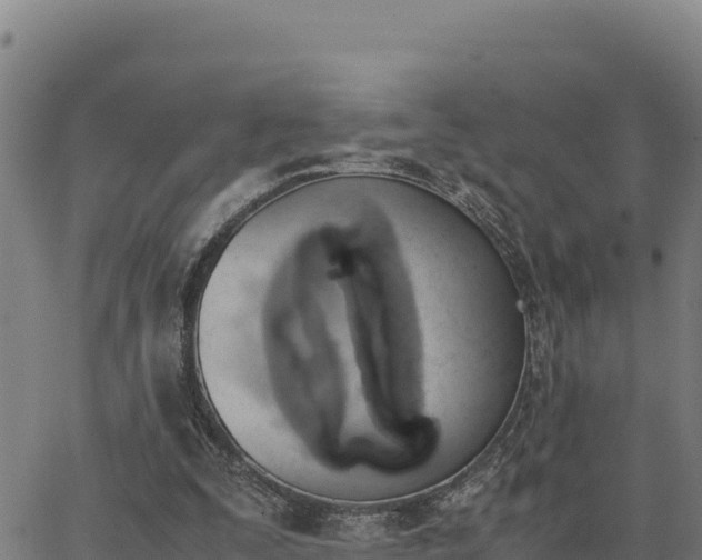 X0000062870295200601201801