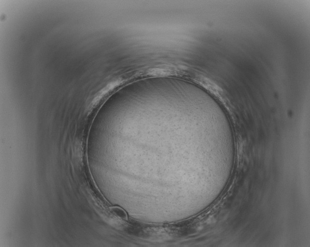 X0000062870297200601201801