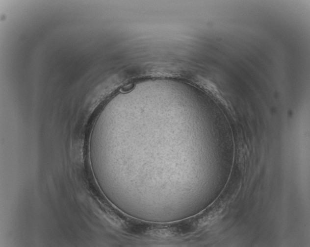 X0000062870299200601201801