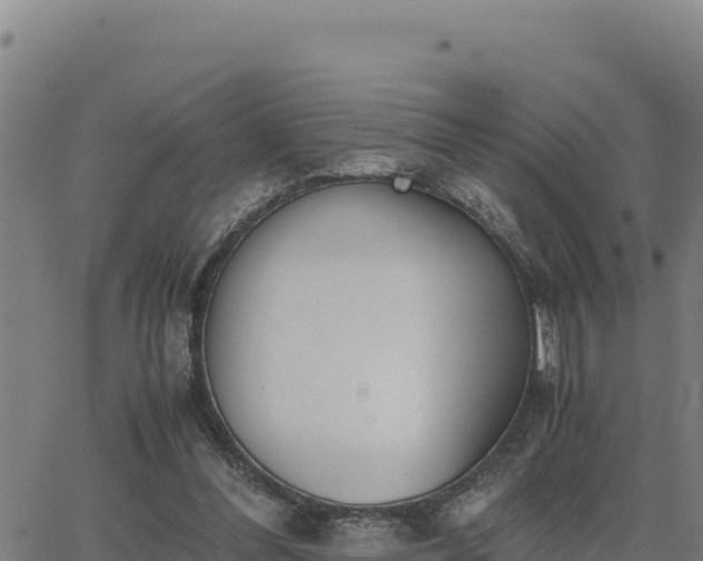 X0000062870300200601201801