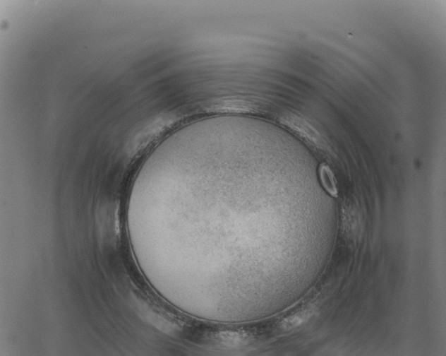 X0000062870302200601201801