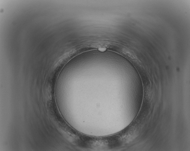 X0000062870303200601201801