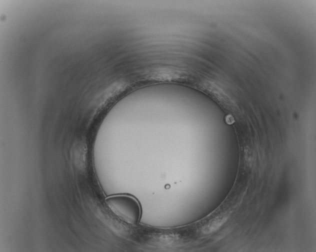 X0000062870304200601201801