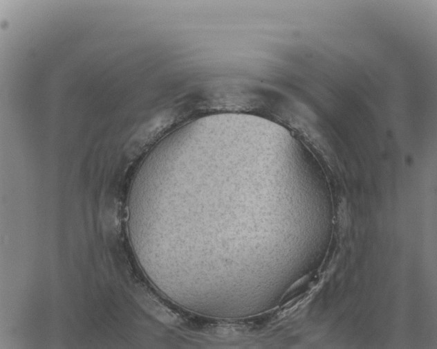 X0000062870305200601201801