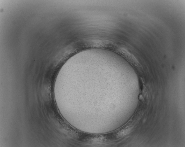 X0000062870306200601201801