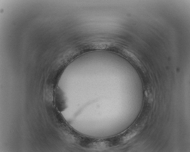 X0000062870307200601201801