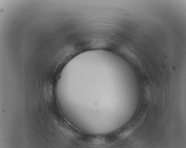 X0000062870308200601201801