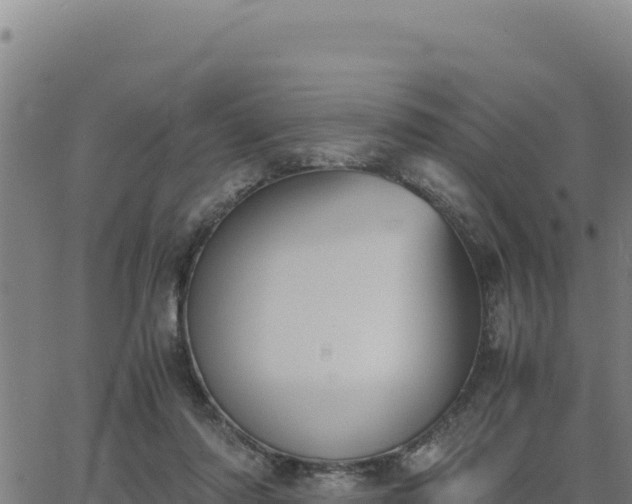 X0000062870310200601201801