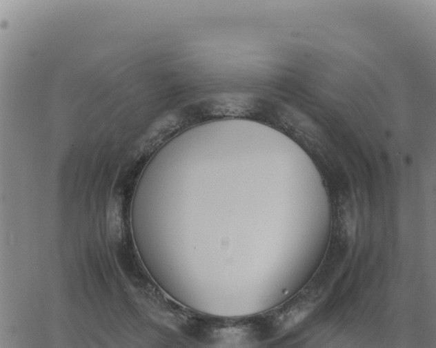 X0000062870312200601201801