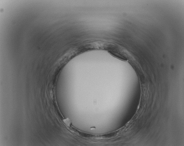 X0000062870313200601201801