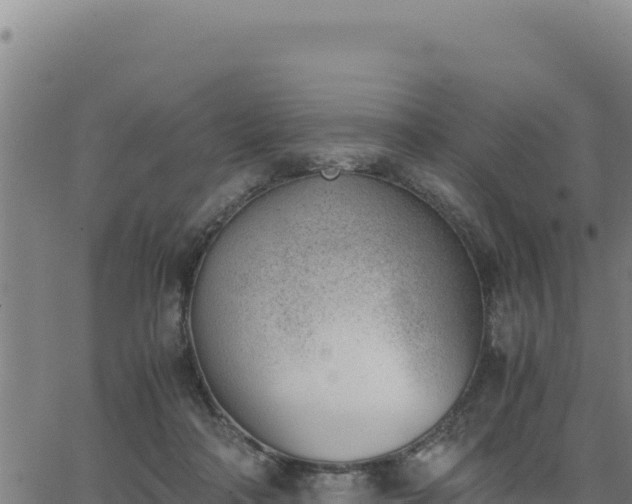 X0000062870314200601201801