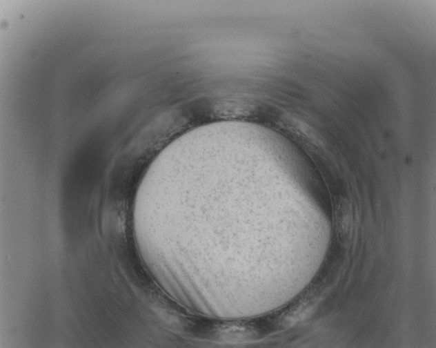 X0000062870315200601201801