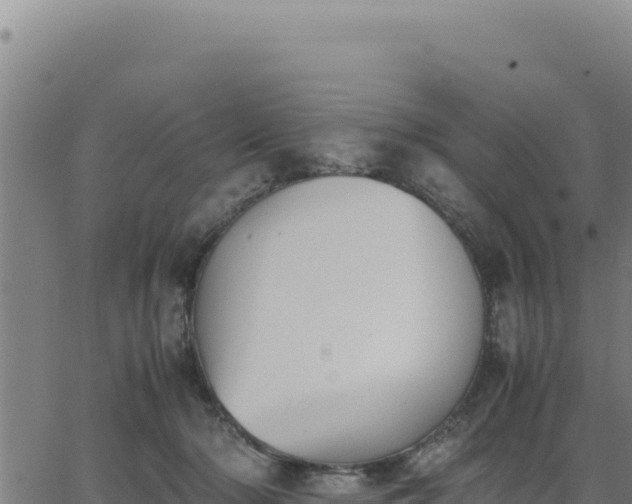 X0000062870318200601201801