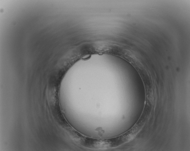 X0000062870319200601201801