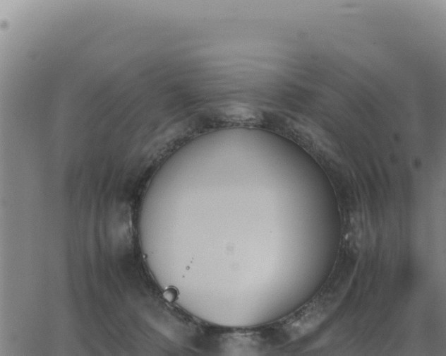 X0000062870320200601201801