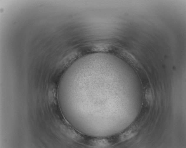 X0000062870322200601201801