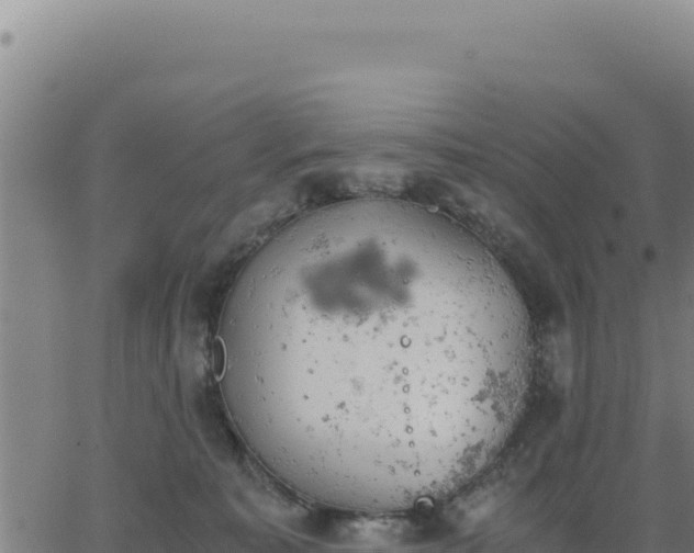 X0000062870323200601201801