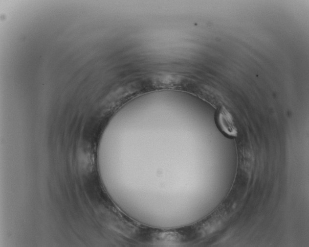 X0000062870324200601201801