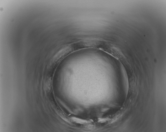 X0000062870325200601201801