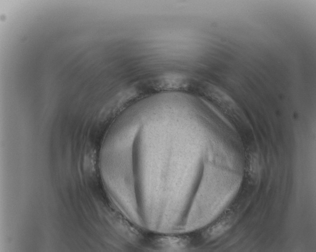 X0000062870326200601201801