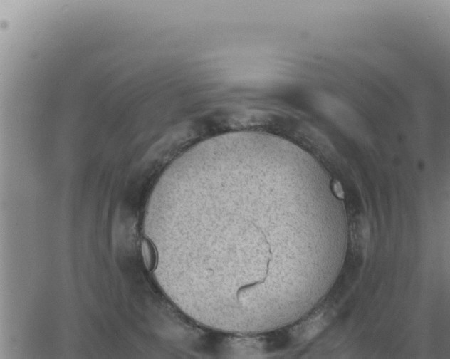 X0000062870327200601201801