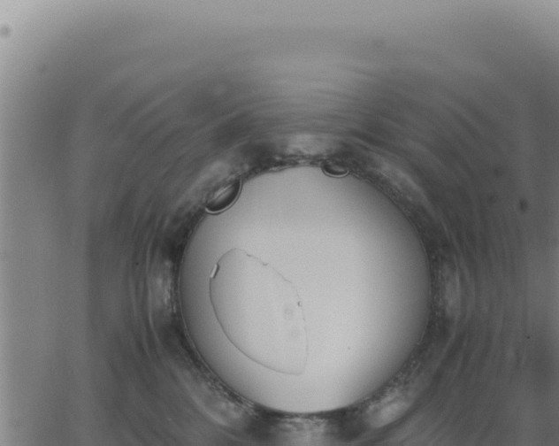 X0000062870328200601201801