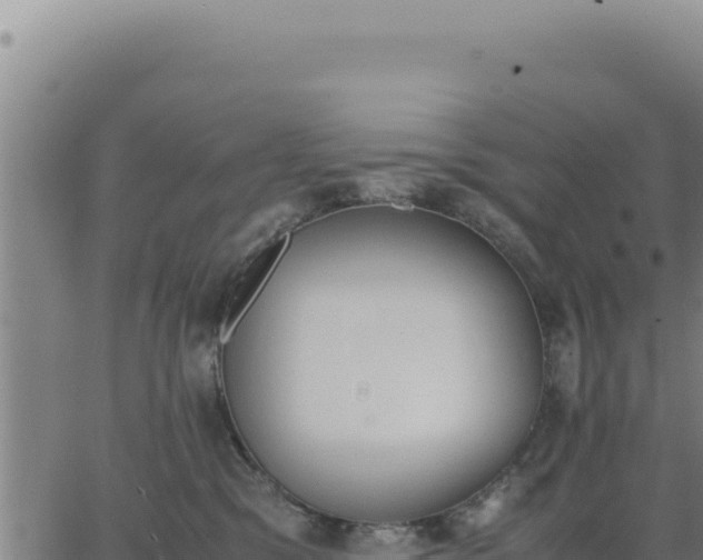 X0000062870329200601201800