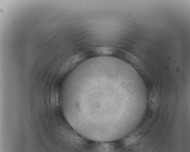 X0000062870330200601201800