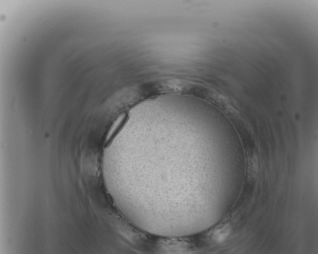 X0000062870331200601201800