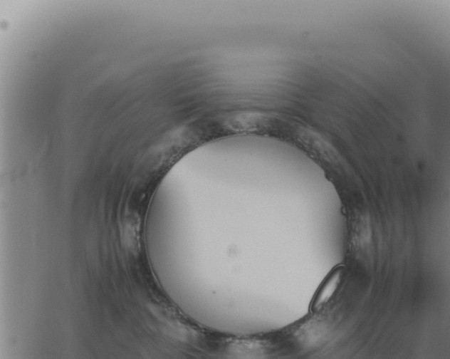 X0000062870332200601201800