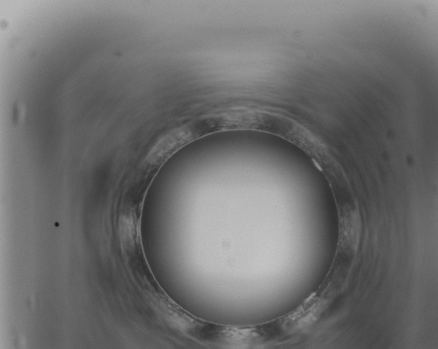 X0000062870333200601201800