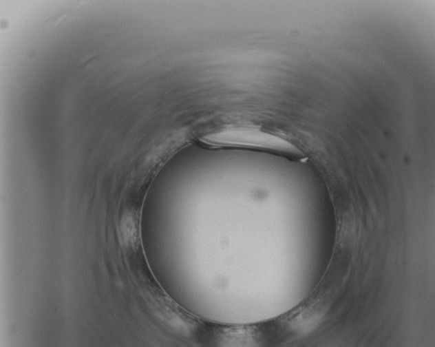 X0000062870335200601201800