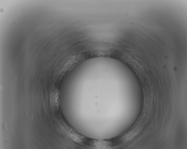 X0000062870336200601201800