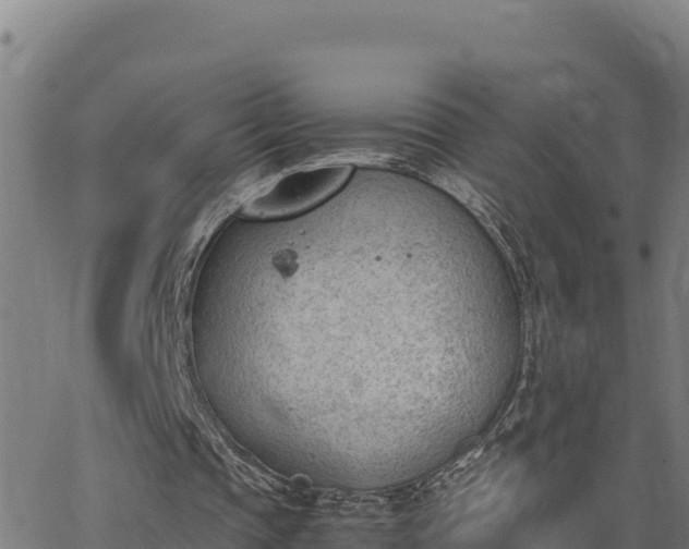 X0000062870337200601201800