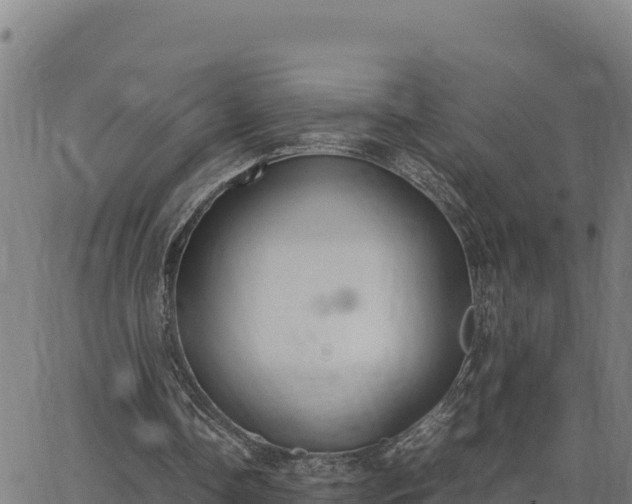 X0000062870338200601201800