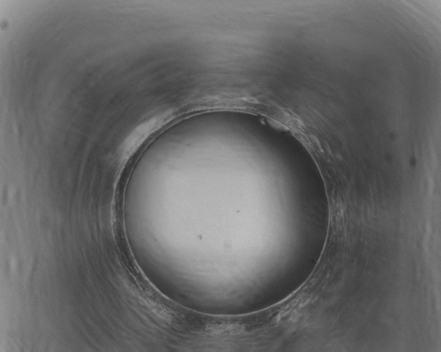 X0000062870340200601201800