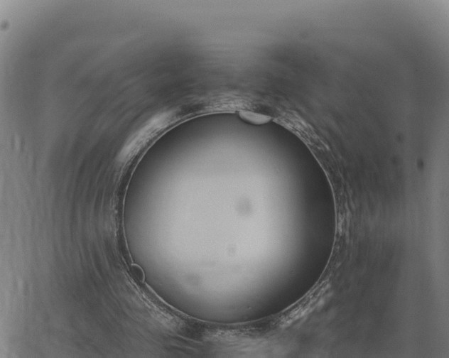 X0000062870341200601201800