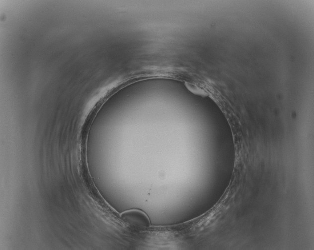 X0000062870342200601201800