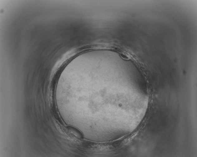 X0000062870343200601201800