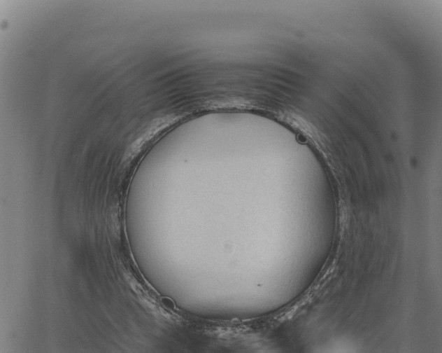 X0000062870345200601201800