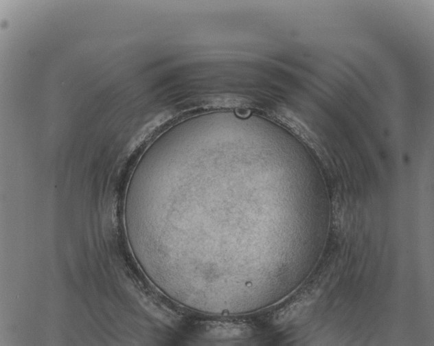 X0000062870347200601201800